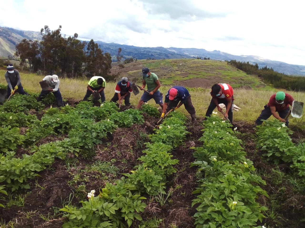 Productores agrarios recibirán bono desde el 18 de setiembre La Noticia