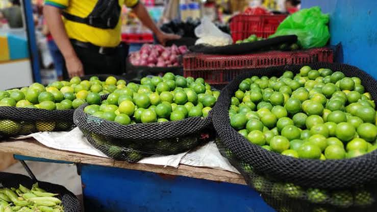 Precio del limón por kilo llega a 60 soles en Lambayeque La Noticia