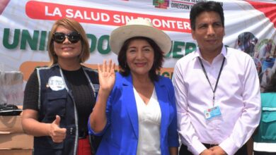 Lanzan campaña contra el dengue en distritos del sur de Lima