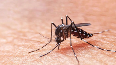 Dengue: Ministro de Salud anuncia estado de emergencia sanitaria para 20 regiones