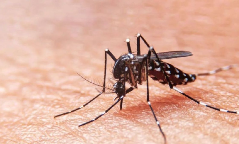Dengue: Ministro de Salud anuncia estado de emergencia sanitaria para 20 regiones