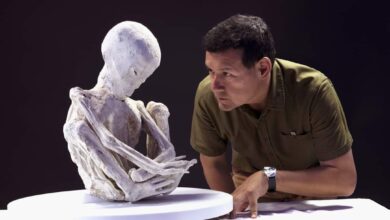 Presentación de dos Nuevas especies con tres dedos en la colección de las "Momias de Nazca" este 12 de marzo en Los Ángeles, EE.UU