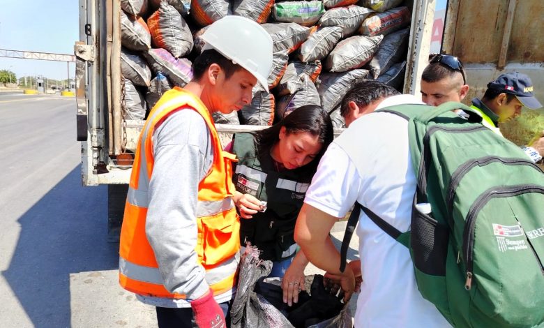 Midagri decomisa 25 toneladas de carbón de algarrobo con guía de transporte forestal falsa en Piura