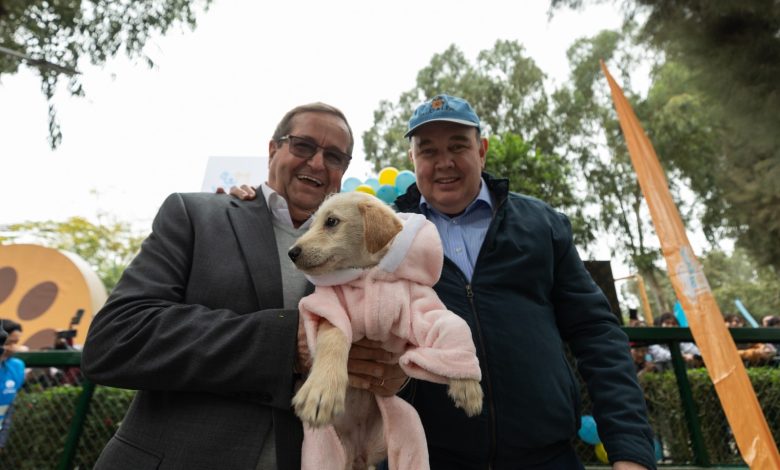 Veterinaria municipal para Villa El Salvador