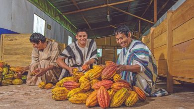 Gobierno impulsó la ejecución de más de 1500 planes de negocio en beneficio de cerca de 34 mil productores peruanos