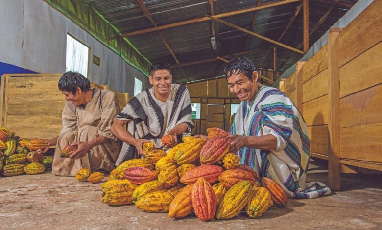 Gobierno impulsó la ejecución de más de 1500 planes de negocio en beneficio de cerca de 34 mil productores peruanos