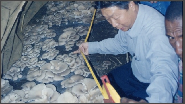 Fascinante producción China demuestra que tecnologías aplicadas en países como Ruanda han superado la pobreza