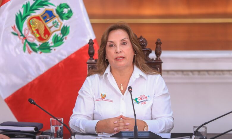 Dina Boluarte sobre criminales