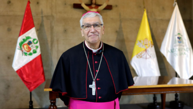 Cardenal Castillo: “Los pasos de Francisco son irreversibles y León XIV los seguirá”