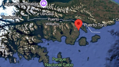 Sismo en el sur de Chile: levantan evacuación en Magallanes pero persiste alerta en costas I Foto: X (antes Twitter)