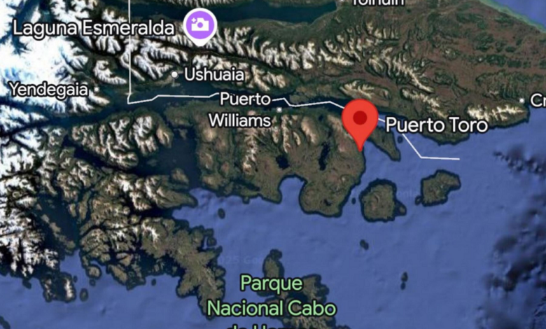 Sismo en el sur de Chile: levantan evacuación en Magallanes pero persiste alerta en costas I Foto: X (antes Twitter)
