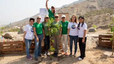 Arbio presenta su nuevo programa ambiental “Hermanando Árboles"