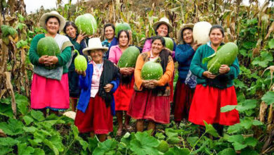 MIDAGRI: Histórica inversión en riego tecnificado impulsará la Agricultura Familiar en 19 regiones