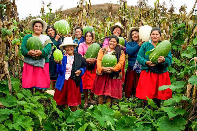 MIDAGRI: Histórica inversión en riego tecnificado impulsará la Agricultura Familiar en 19 regiones