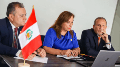 Presidenta Boluarte coordina con ministros sobre seguridad y economía, desde Francia