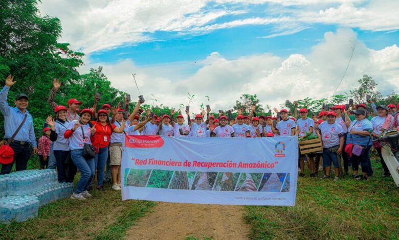 Caja Huancayo logra reforestación de más de 14 hectáreas de bosques en Loreto