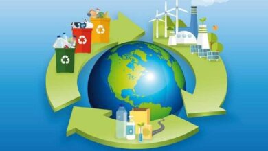 Conoce 5 claves para impulsar la economía circular