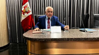 Delgado: "Esperamos que la sentencia del TC sea favorable a la ley 32107"
