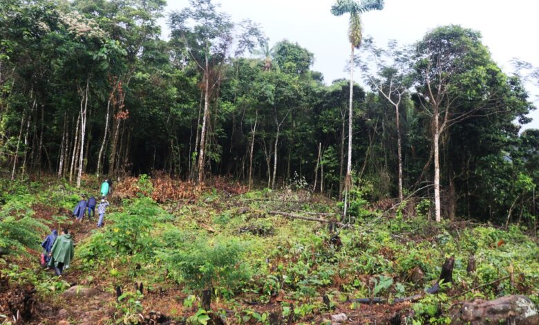 Gobierno aprueba creación de Área de Conservación Regional Velo de la Novia en Ucayali