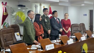 Aprueban propuestas y acuerdos a favor de ciudadanos del Parlamento Andino