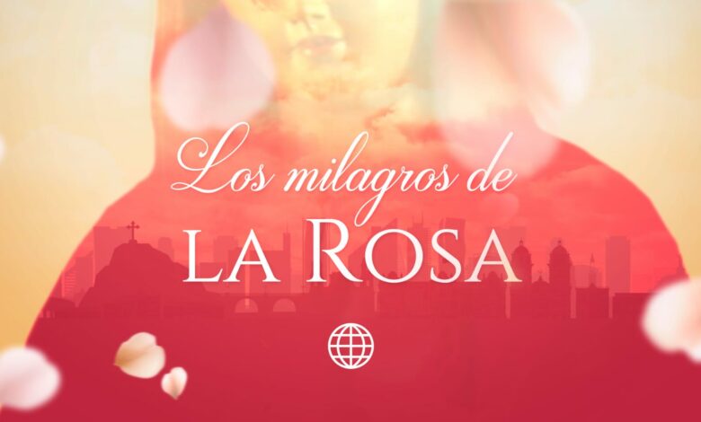 “Los Milagros de la Rosa” lidera su horario y reafirma el éxito de América TV