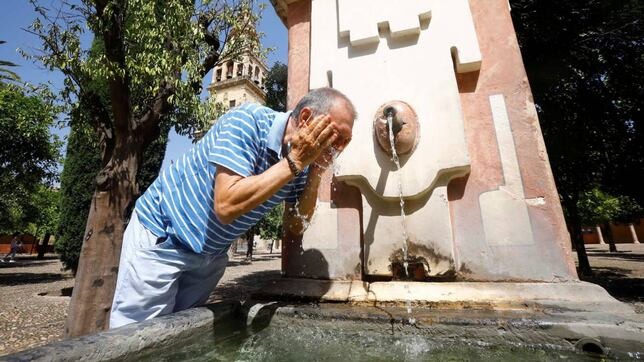 España en alerta: la temperatura pasará de 42 °C