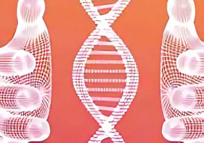 La influencia de lo que ingerimos y cómo interactuamos con el mundo que nos rodea