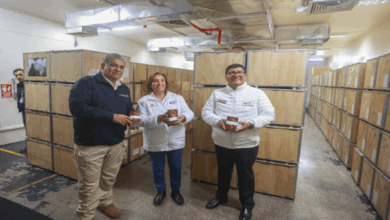 Actual gestión del Gobierno del Perú logró récord histórico en emisión de pasaportes y garantizó stock para los próximos años