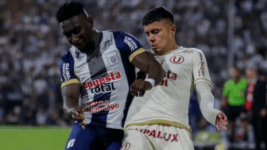 ¡Gallos de pelea!