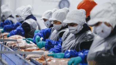 Perú concreta primera exportación de carne de ave tras recuperar estatus sanitario internacional
