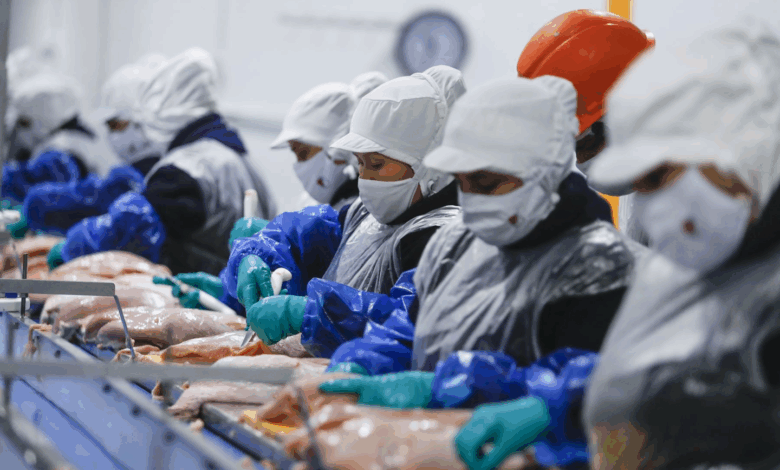 Perú concreta primera exportación de carne de ave tras recuperar estatus sanitario internacional