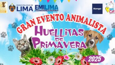 Huellitas de Primavera 2025: gran encuentro solidario de adopciones en Lima
