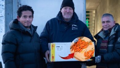 Midagri: Perú realiza su primer envío de ajíes nativos al “Arca de Semillas” en Noruega