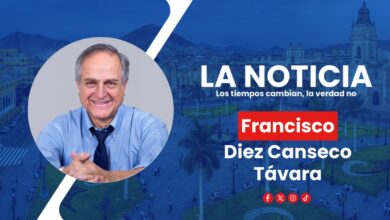 ¿Qué debemos hacer con las leyes procrimen?