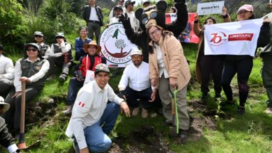Minam lanza campaña “Un millón de árboles” para el Santuario Histórico de Machupicchu