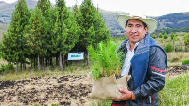 Gobierno lanza la campaña 2026 del Programa Bosques Productivos Sostenibles con la meta de instalar 10 millones de árboles al 2028