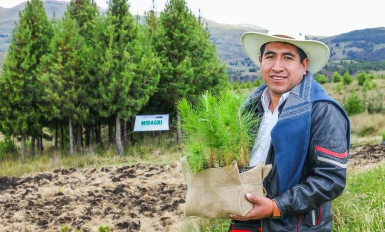 Gobierno lanza la campaña 2026 del Programa Bosques Productivos Sostenibles con la meta de instalar 10 millones de árboles al 2028