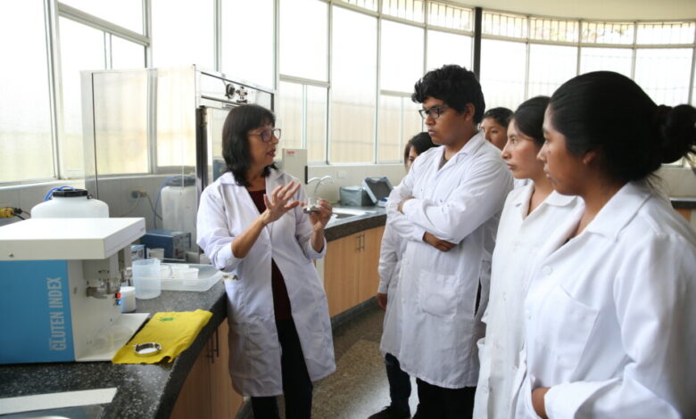 MINEDU transfiere más de S/. 20 millones a 47 universidades públicas para bonificación de docentes investigadores