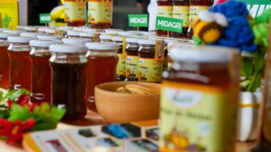 MIDAGRI impulsa el potencial de mas de 40 mil productores en el Día Nacional de la Apicultura
