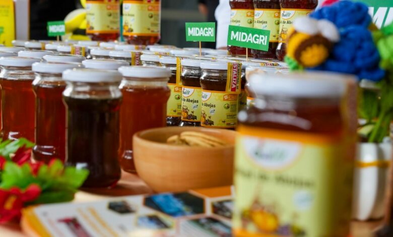 MIDAGRI impulsa el potencial de mas de 40 mil productores en el Día Nacional de la Apicultura