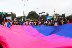 Colectivo Bisexual en la marcha con su bandera